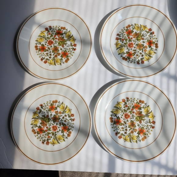 Set of (4) Corelle plates Indian Summer - Picture 9 of 10